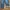Japanese brand Vintage Y2K Jeans Pria blue photo 3