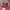 Vintage Biker Hat Pria red photo 1