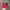 Vintage Biker Hat Pria Red