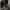 Adidas Streetwear Casual Casual shoe Pria multicolor white photo 6
