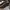 Adidas Streetwear Casual Casual shoe Pria multicolor white photo 3
