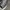 Converse Casual Sneakers Pria black photo 4