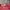 Vintage Hat Pria red black photo 3