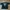 Vintage Streetwear T-shirt Pria black photo 1