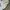 Asics Streetwear Skater Hoody Pria silver white photo 3