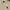 New Era Luxury Casual Polo shirt Pria white photo 3