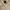 New Era Luxury Casual Polo shirt Pria white photo 4