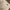 New Era Luxury Casual Polo shirt Pria white photo 5