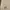 New Era Luxury Casual Polo shirt Pria white photo 6