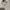 Stussy Streetwear Skater Hoody Pria silver white photo 7