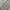 Luxury Casual Formal pants Pria white gray photo 4