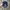 Vintage Hat Pria blue photo 4
