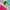 Pancoat Casual Sweater Kids multicolor photo 3