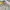 Pancoat Casual Sweater Kids multicolor photo 2
