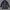 Hell Cat Punks Goth Emo Trench Coat Wanita Black