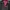 Hell Cat Punks Goth Emo Trench coat Wanita black photo 2