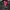 Hell Cat Punks Goth Emo Trench Coat Wanita Black