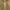 BASIC HOUSE Vintage Streetwear Flare pants Wanita brown photo 3