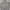 Mark Gonzales Skater Casual Hoody Pria cream photo 2