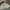 Sportswear Sneakers Pria white photo 1
