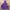 Sportswear Windbreaker Wanita Purple