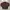 Pearly Gates Vintage Windbreaker Pria brown photo 2