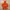 K2 Gorpcore Sportswear Windbreaker Wanita orange photo 2