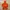 K2 Gorpcore Sportswear Windbreaker Wanita Orange