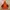 K2 Gorpcore Sportswear Windbreaker Wanita orange photo 3