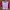Casual Hoody Kids Pink