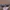 Oakley Vintage Y2K Sunglass Pria gray photo 2