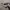Oakley Vintage Y2K Sunglass Pria gray photo 5