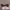 Oakley Vintage Y2K Sunglass Pria gray photo 1