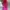 Minimalist Wanita white photo 4