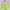 Y2K Coquette Crop top Wanita green photo 1