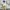 Carhartt Vintage Streetwear Pria brown cream photo 4