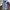 Streetwear Skater Jeans Pria blue photo 3