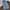 Streetwear Skater Jeans Pria blue photo 4