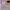 Charles And Keith Luxury Minimalist Shoulder Bag Wanita Purple