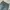 Streetwear Jeans Pria gray photo 4