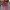 Japanese brand Streetwear Skater Jeans Pria multicolor photo 6