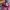 Japanese brand Streetwear Skater Jeans Pria multicolor photo 5