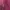 Coquette Vest Wanita pink photo 5