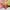 Luxury Minimalist Makeup bag Wanita pink photo 1