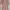 Lolita Maxi dress Wanita pink photo 1