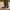 Tony Lama Vintage Y2K Boots Pria brown black photo 3