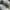 Asics Sportswear Casual Sneakers Pria gray yellow photo 2