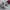Nike Gorpcore Indie Sneakers Pria white gray photo 1