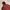 Gorpcore Track jacket Pria red photo 4