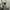 Grunge Goth Bodycon dress Wanita white black photo 1